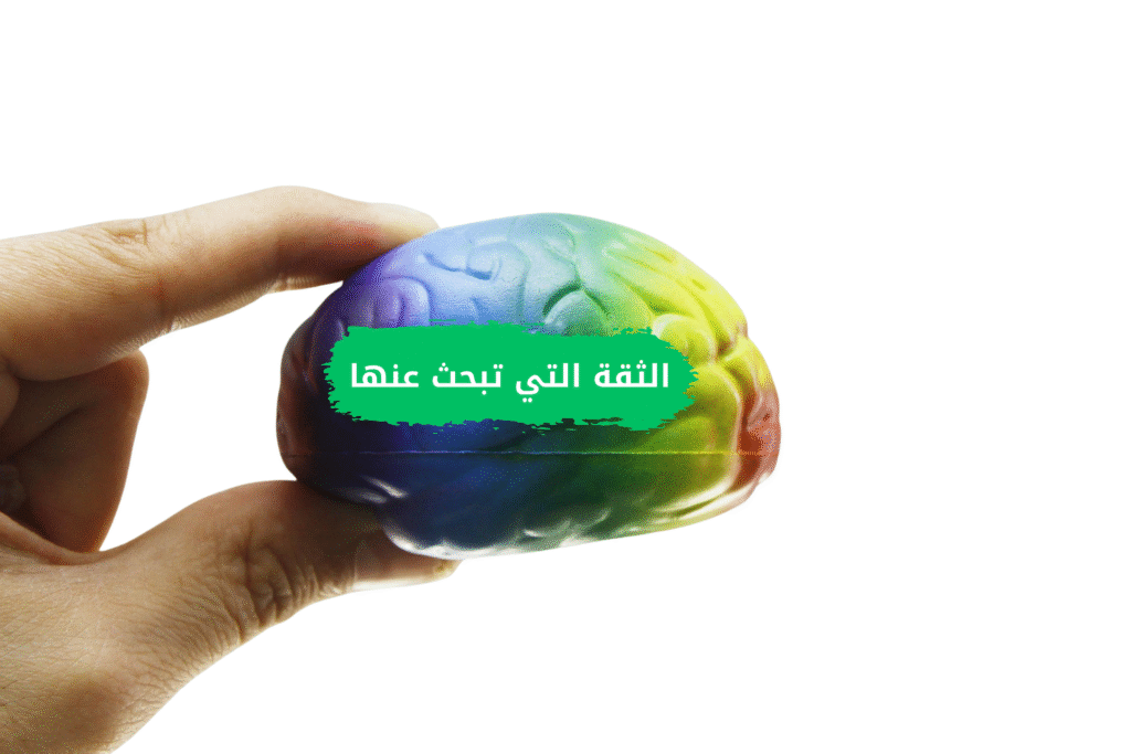 نص فقرتك 1 1024x683